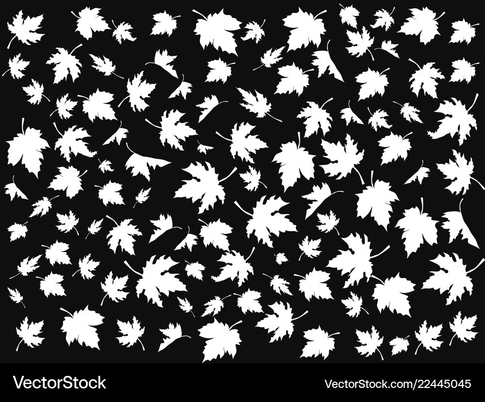 White maple seamless patterns on black background White maple seamless patterns on black background vector image