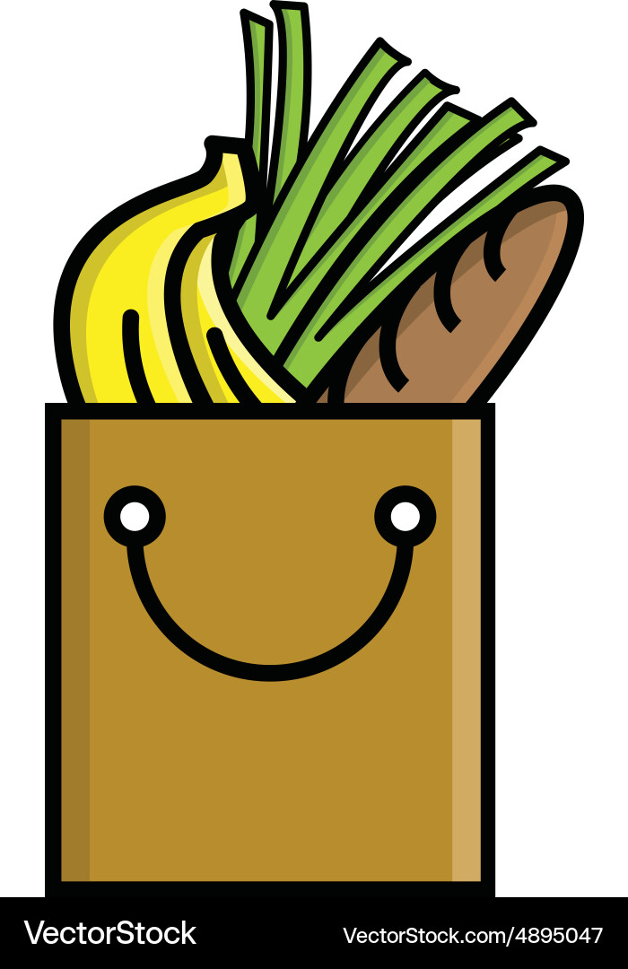 Shopping Bag Icon Vector Image