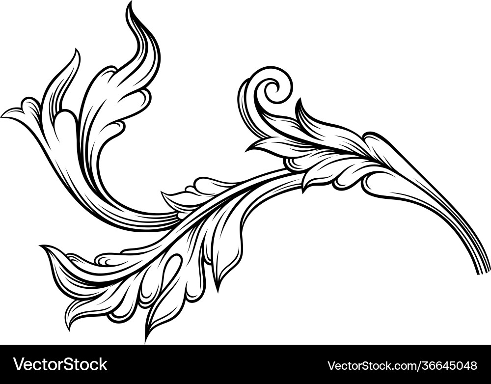 Baroque element with scroll and ornamental Baroque element with scroll and ornamental Vector Image
