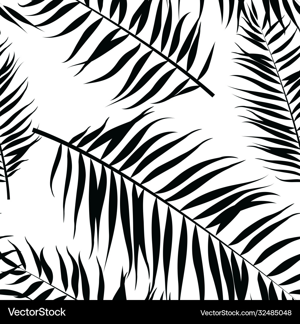 Palm Leaf Pattern - Black & White vector image