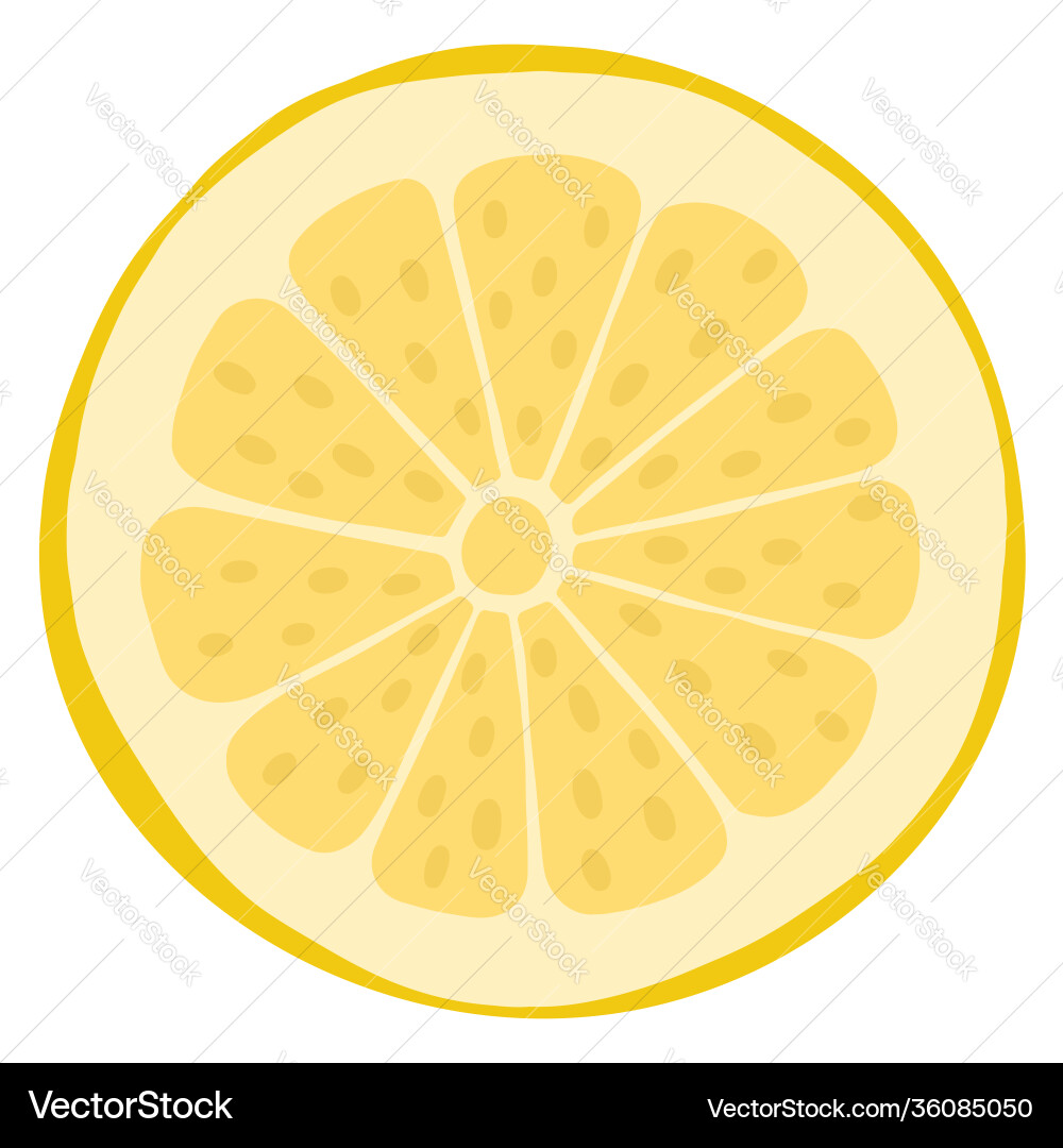 Half lemon fruit slice isolated element object Vector Image