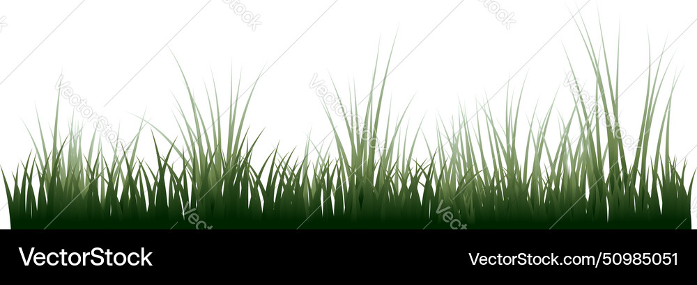 Grass border vector image