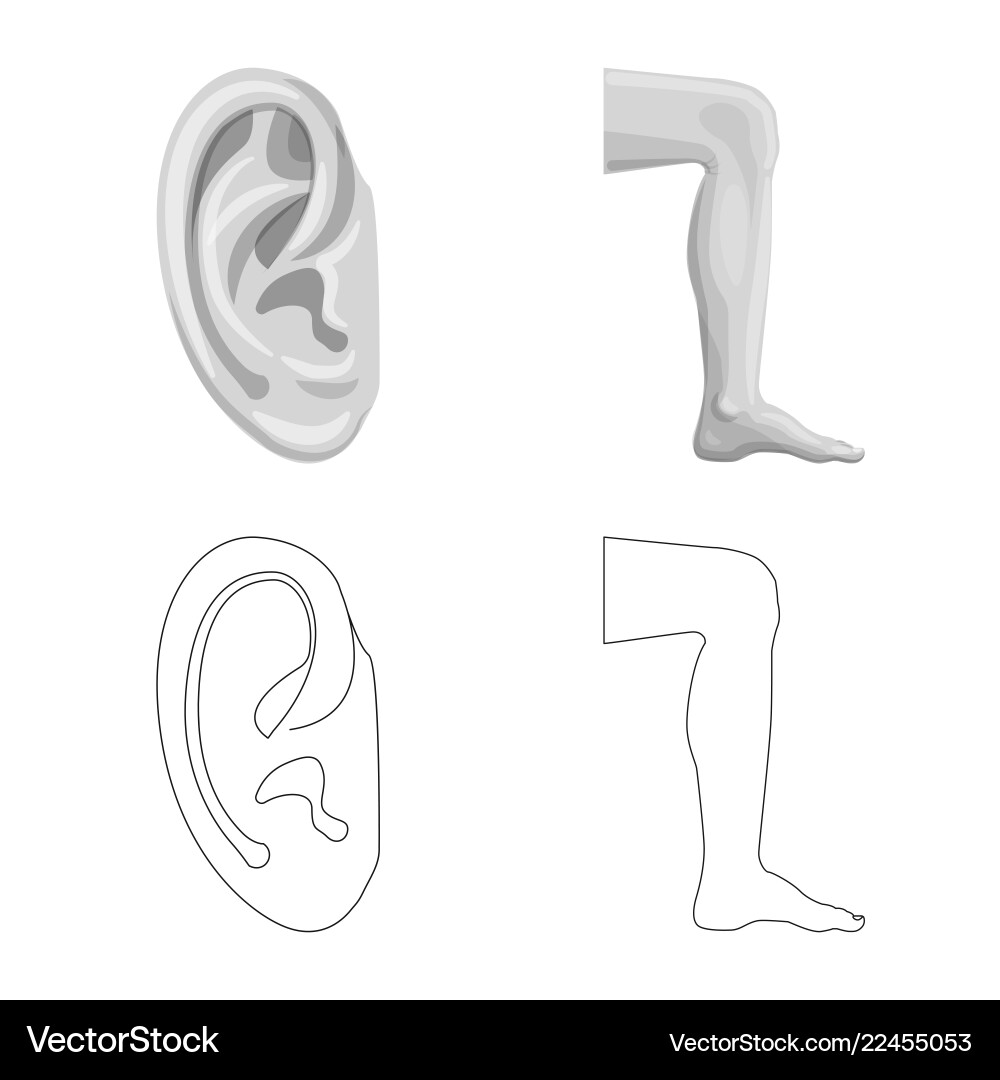 Isolated object of human and part symbol set Vector Image