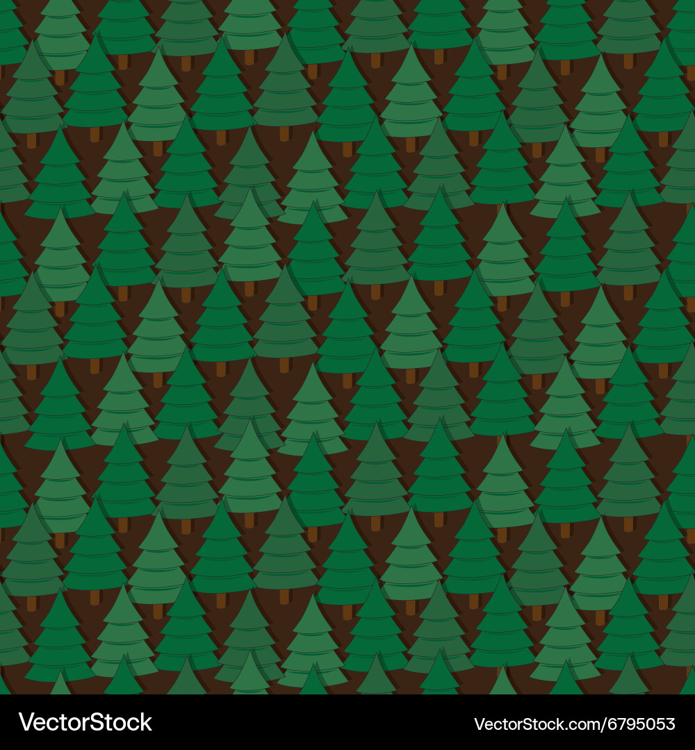 Pine trees pattern vector image