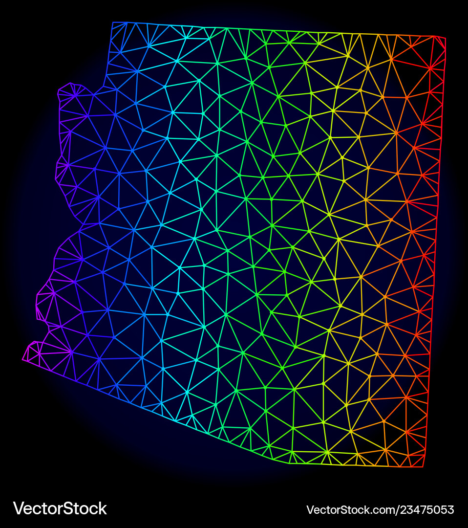 Polygonal wire frame spectrum mesh map vector image