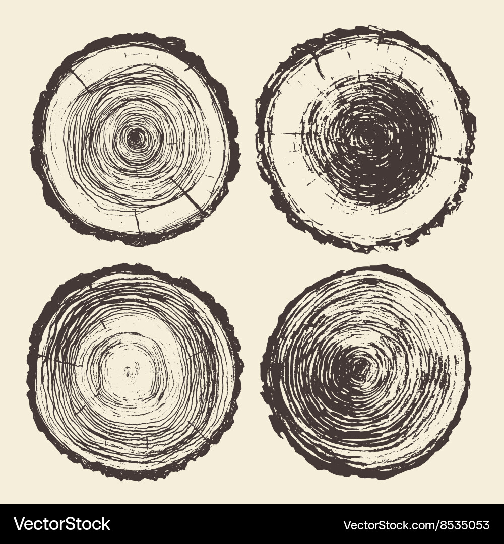 Tree Trunk Sections - Circular Grain Vector Image