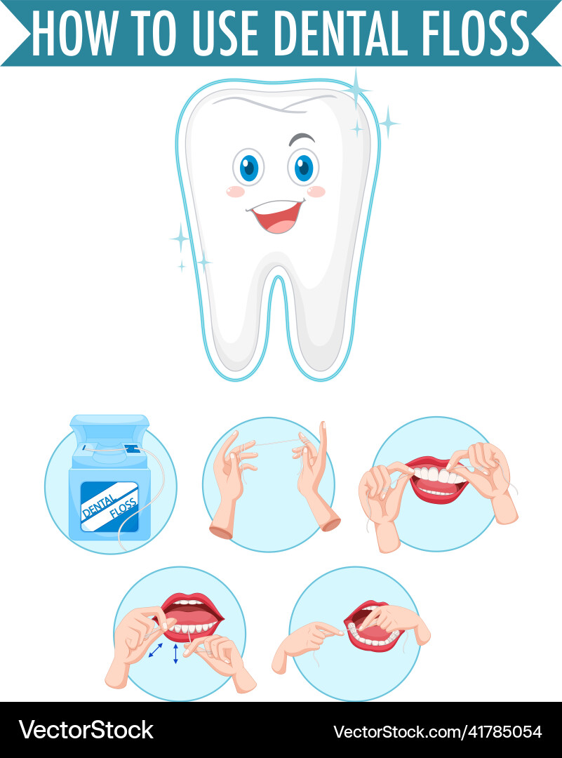 Clean tooth and process of flossing on white Clean tooth and process of flossing on white vector image