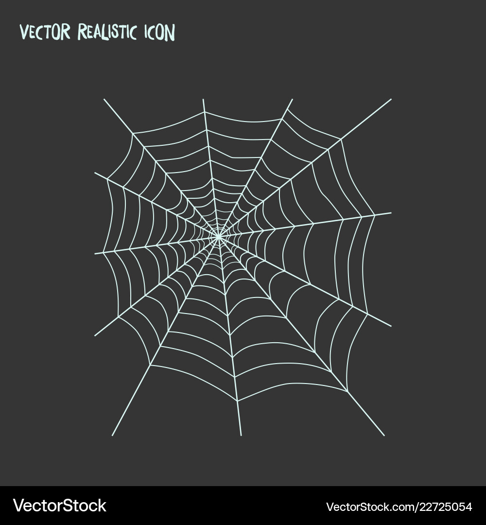 Spiders web icon line element Spiders web icon line element Vector Image