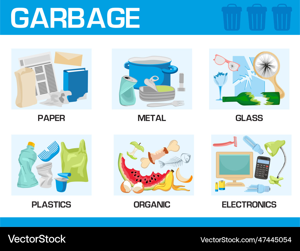 Waste segregation infographic sorting garbage Vector Image