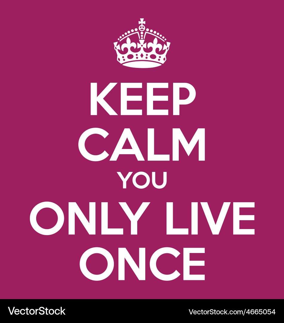 YOLO Quote Poster - Live Your Life Vector Image