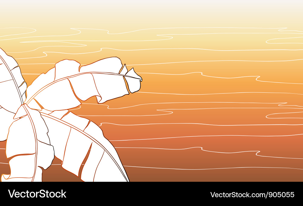 Card with palm trees for your design Vector Image