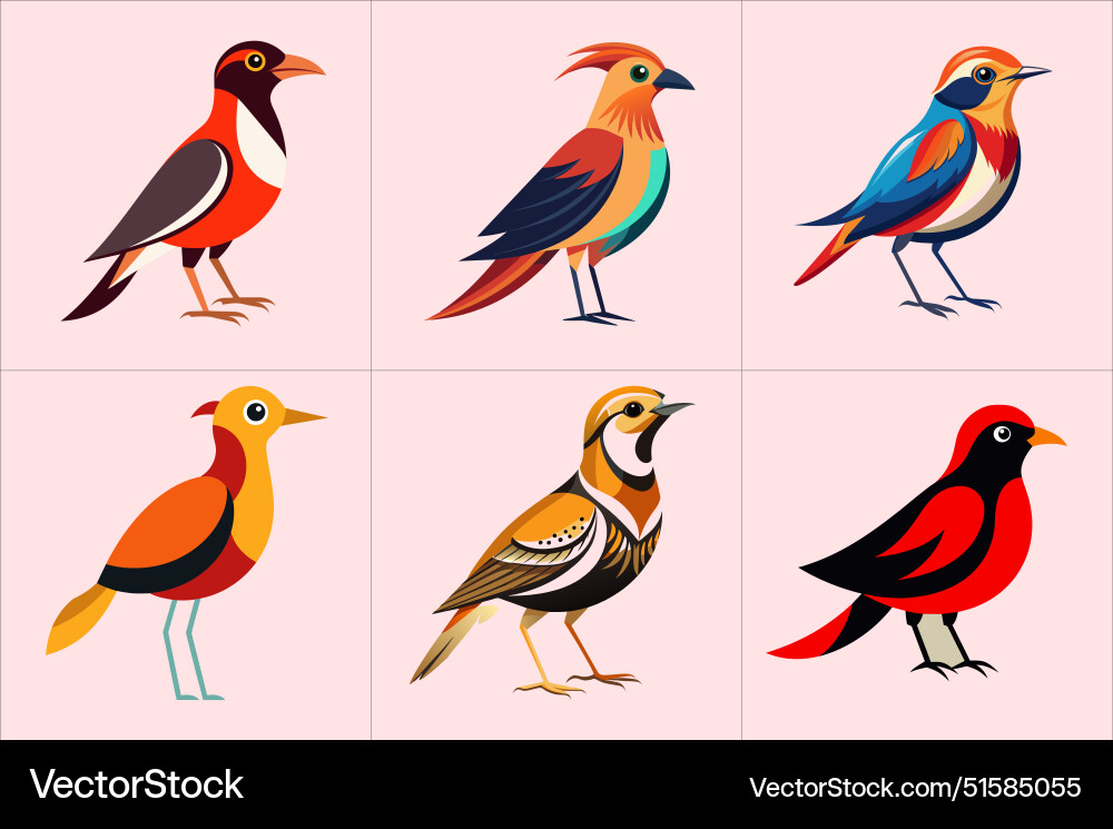 Print color bird Vector Image