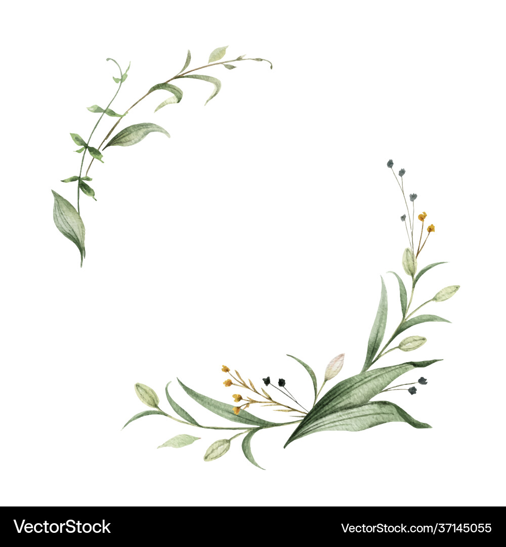 Watercolor Green Wreath Vector Image