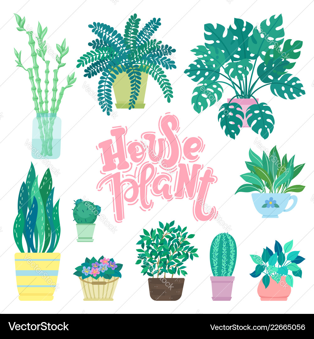 Collection of decorative houseplants isolated vector image