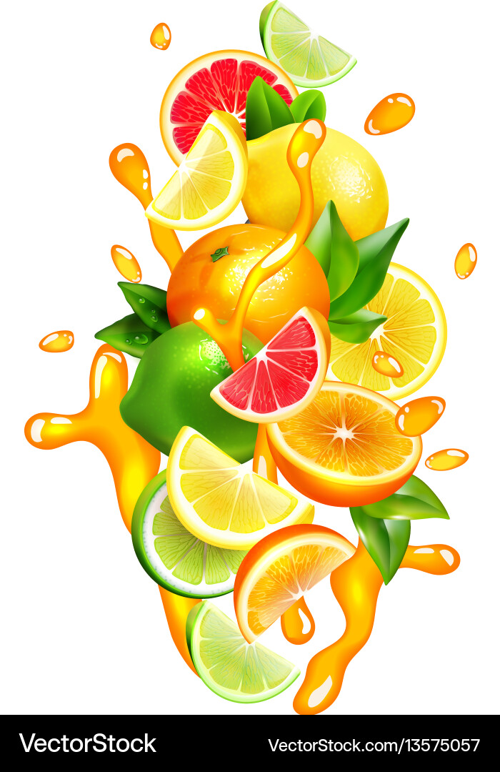 Citrus Fruit Splash with Juice Drops Vector Image