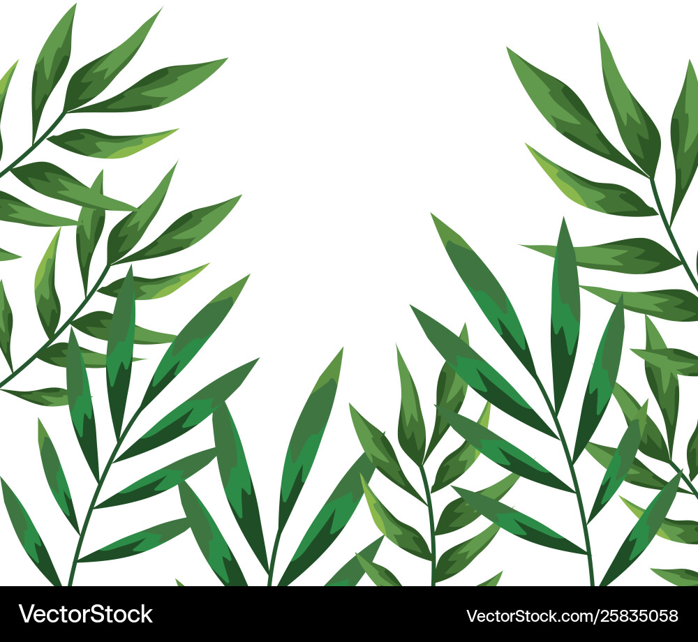 Branch with leafs plants pattern background Branch with leafs plants pattern background Vector Image