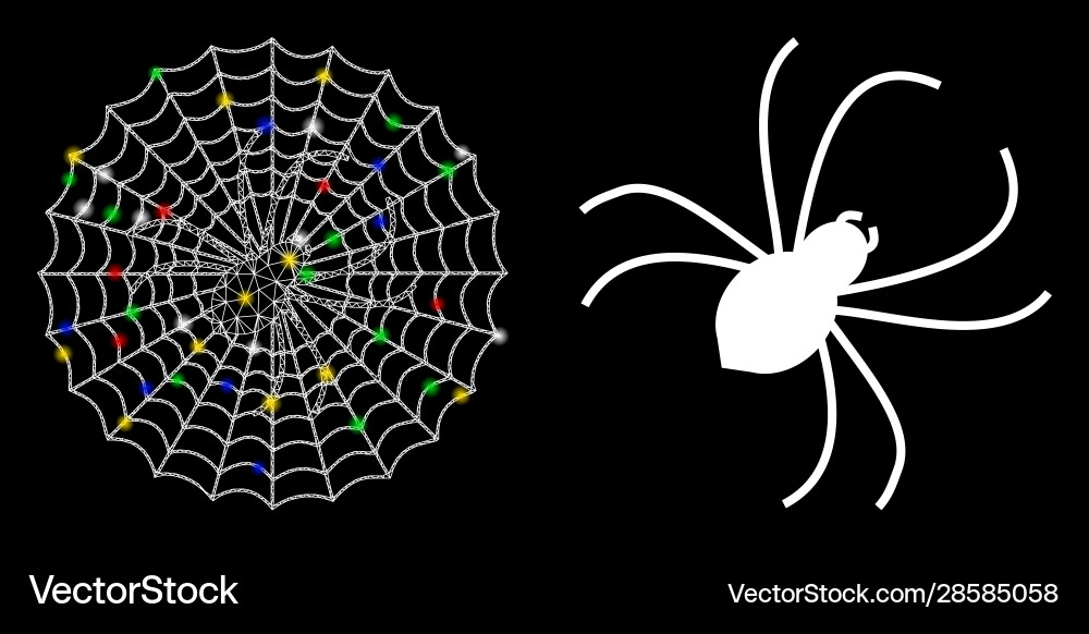 Flare mesh wire frame spider net icon with vector image