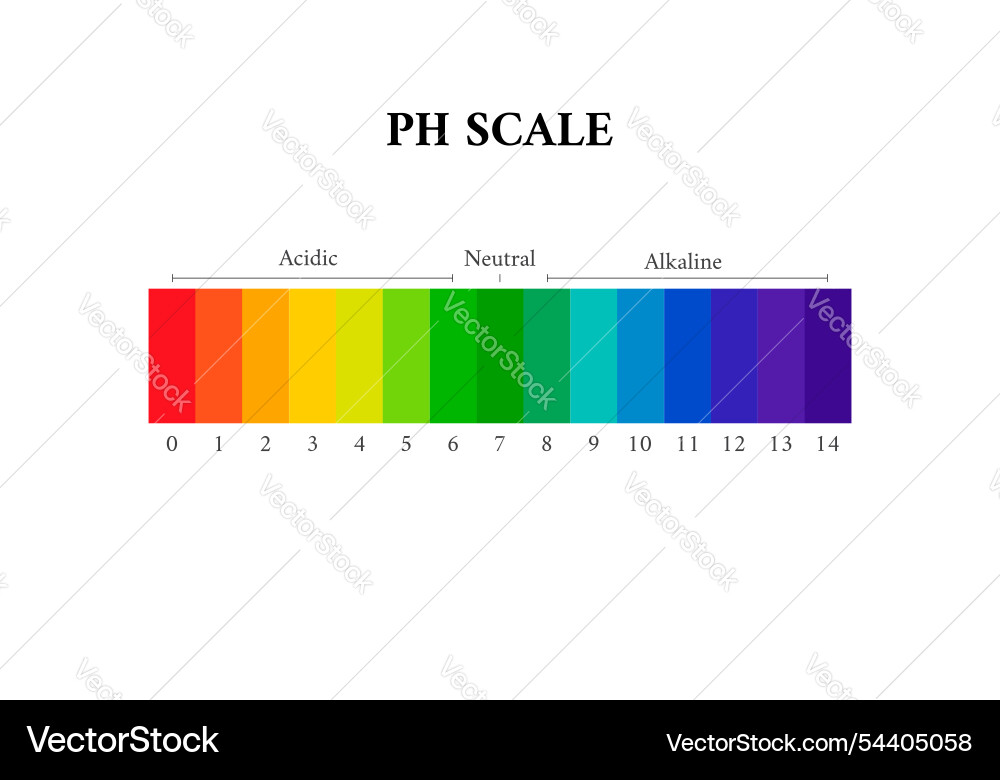 Ph scale chart indicator diagram value Ph scale chart indicator diagram value vector image