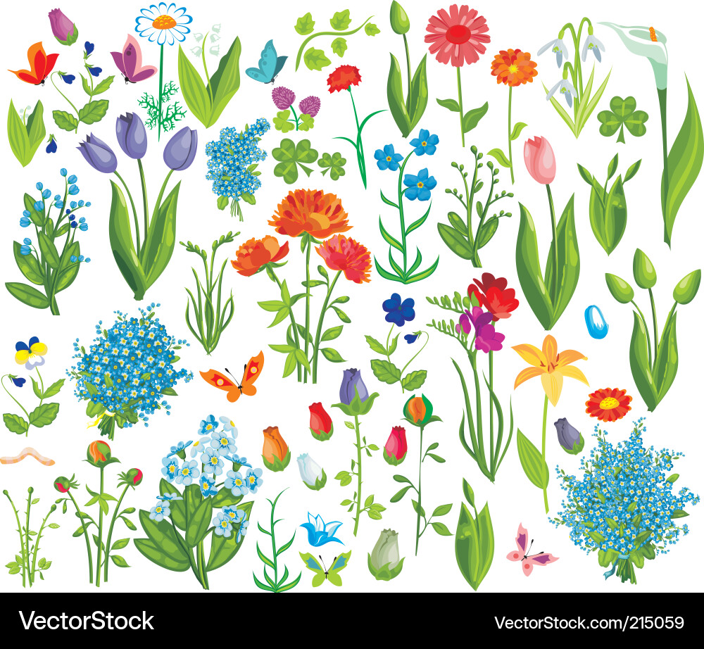Botanical Garden Sketch vector image
