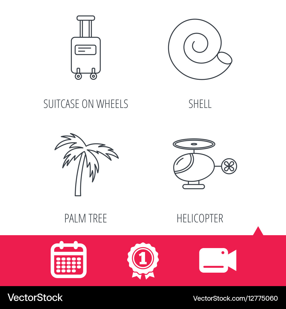 Palm tree shell and helicopter icons Vector Image
