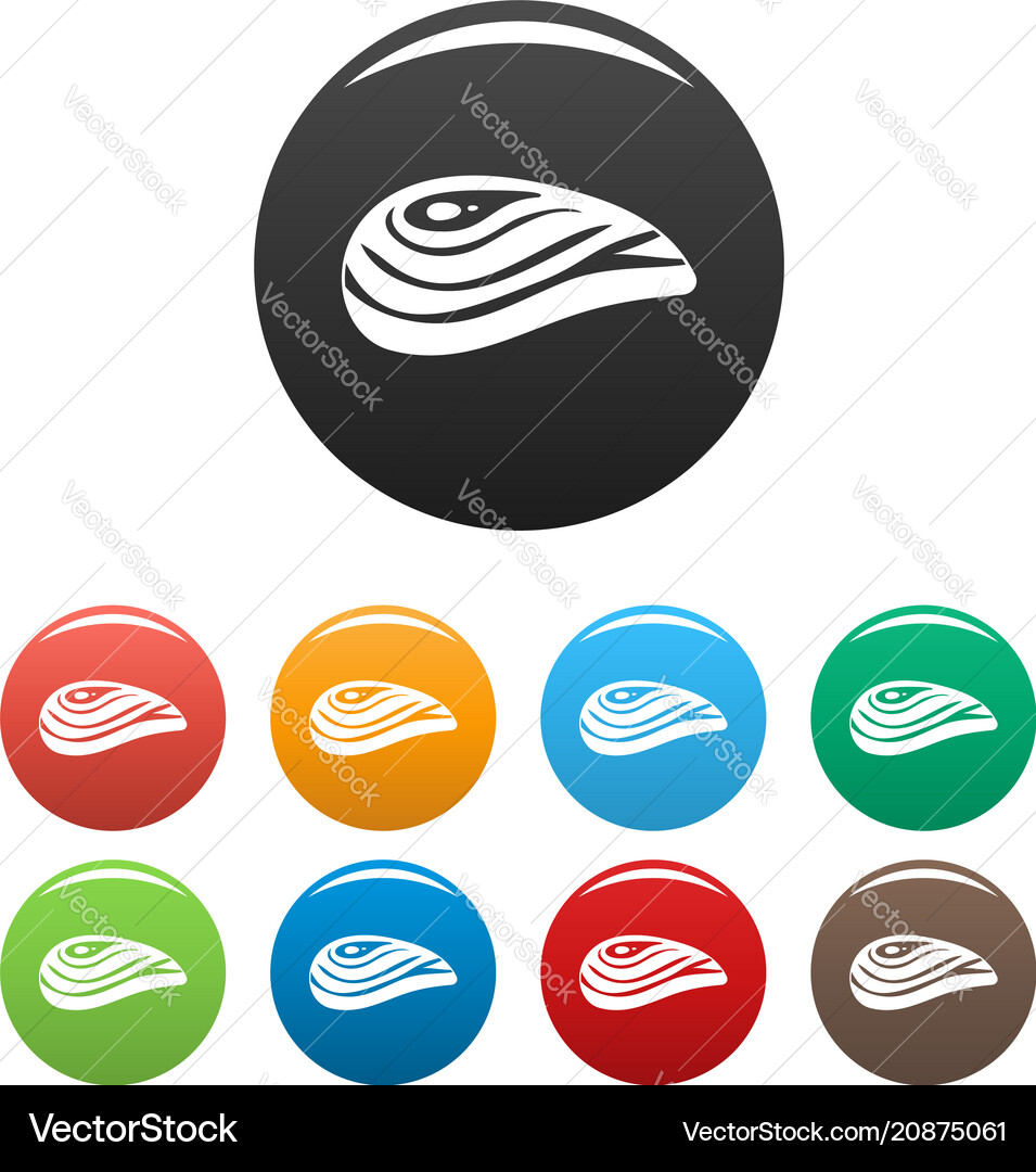 Aquatic shell icons set color vector image