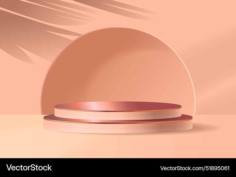 Elegant abstract minimalist podium with soft Vector Image