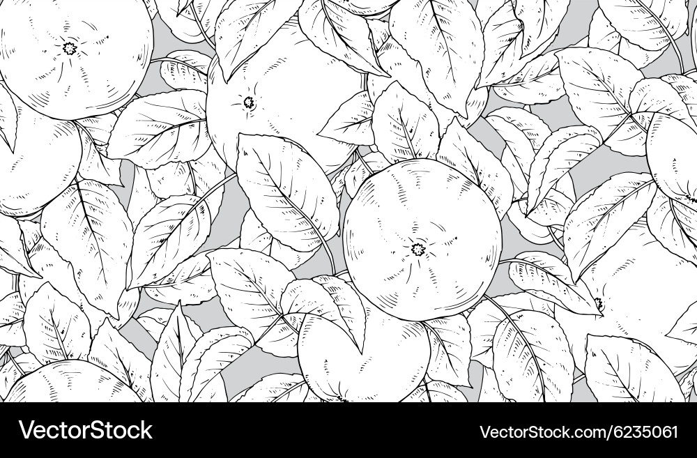Seamless pattern with hand drawn apple branches Vector Image