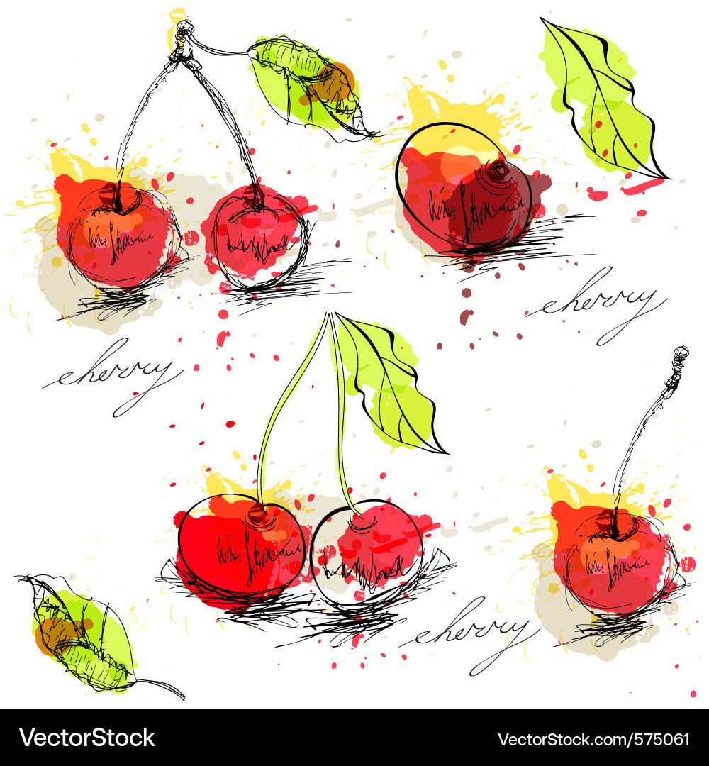 Stylized Cherry Background Vector Image