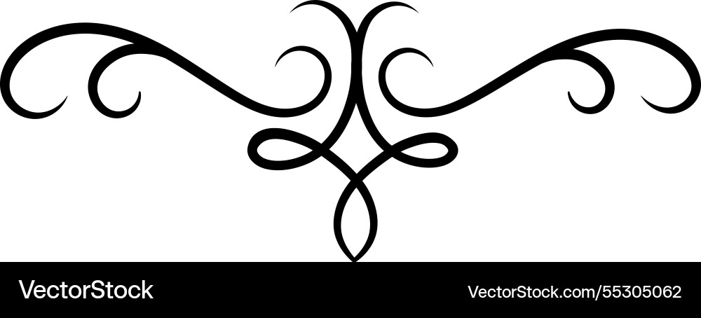 Elegant calligraphic border with swirls and curls Elegant calligraphic border with swirls and curls vector image