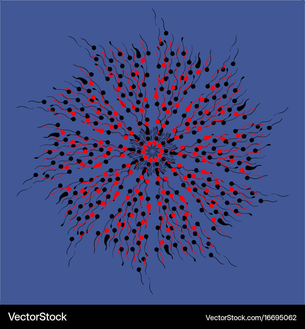 Mandala with twists circular pattern vector image