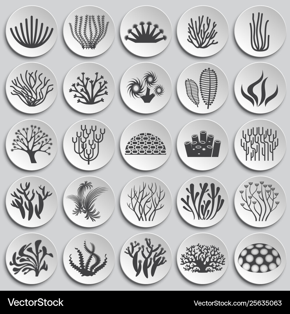 Coral icons set on background for graphic and web Coral icons set on background for graphic and web Vector Image