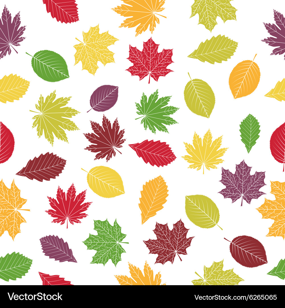 Autumn Leaf Pattern vector image