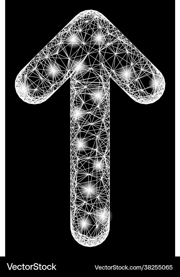 Network move up web mesh with bright flares Network move up web mesh with bright flares vector image