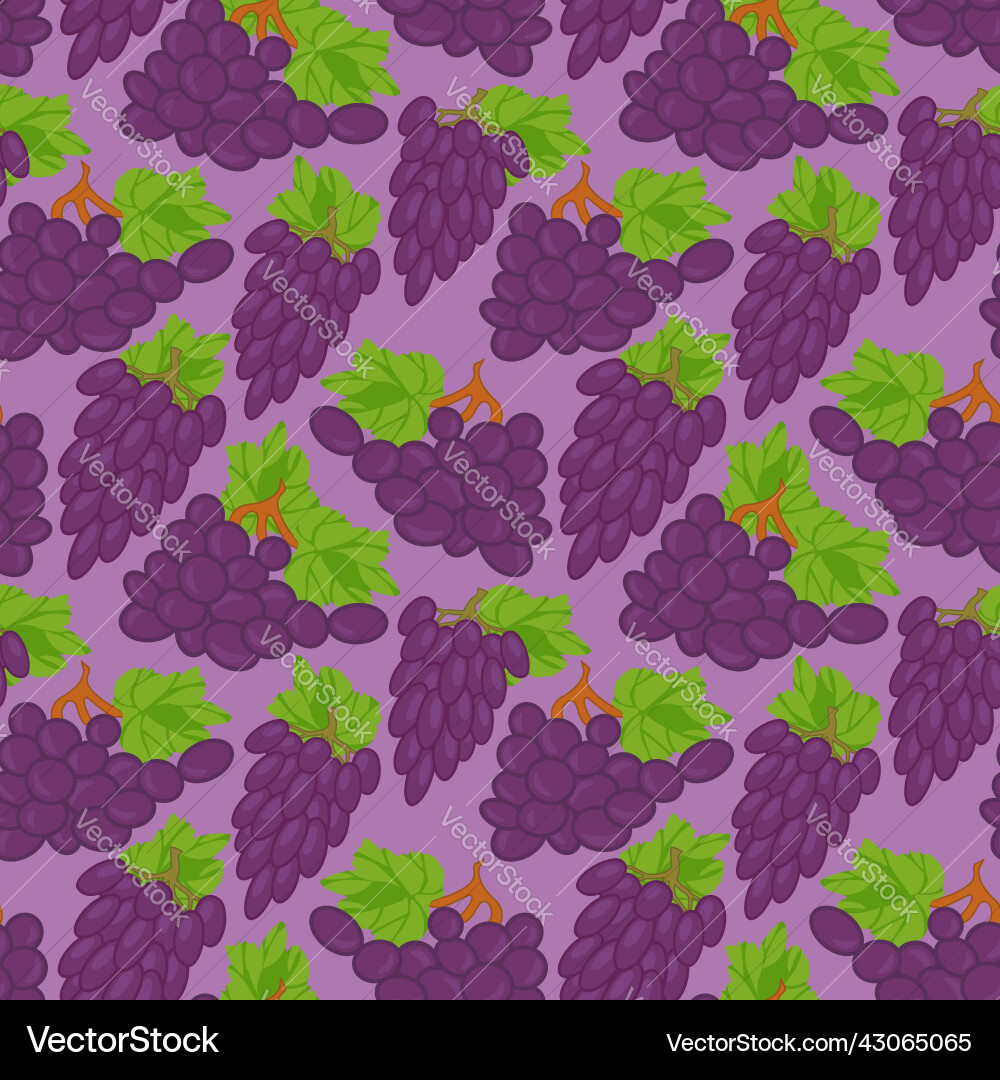Seamless background with grapes pattern Seamless background with grapes pattern vector image
