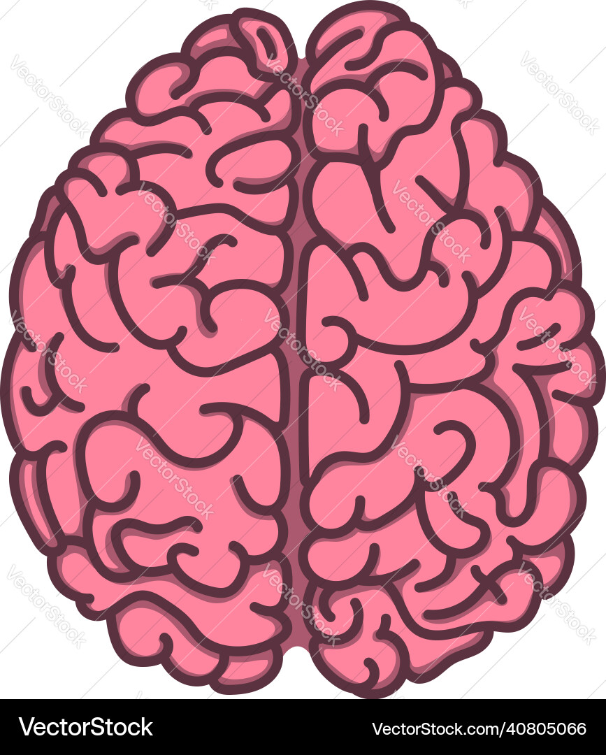 Flat style human brain Royalty Free Vector Image