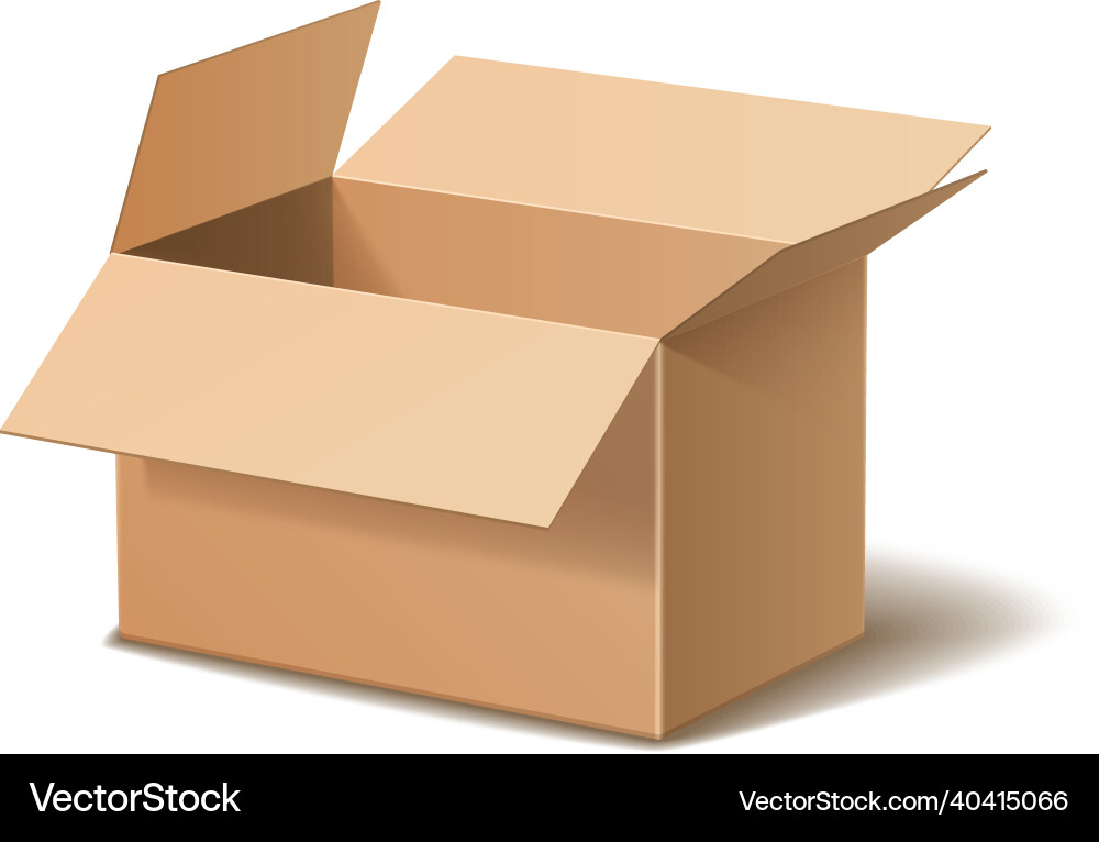 Open cardboard box empty paper package realistic Vector Image