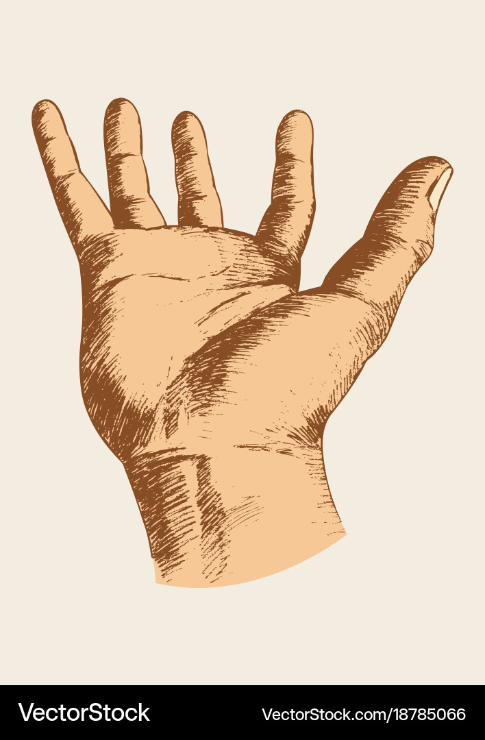 Open Palm Gesture Vector Image