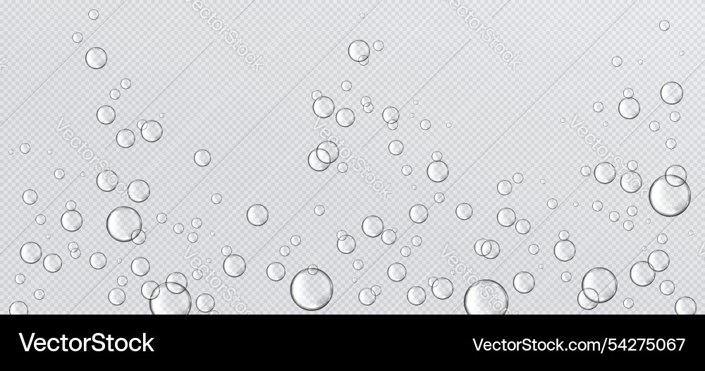 Fizzy water bubble float on transparent background Vector Image