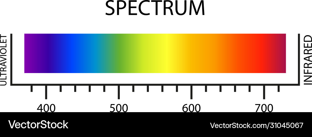 Spectrum Color Palette - Digital Gradient vector image