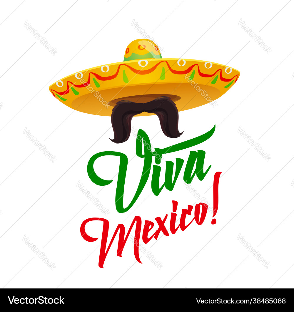 Viva mexico sombrero with mustaches vector image