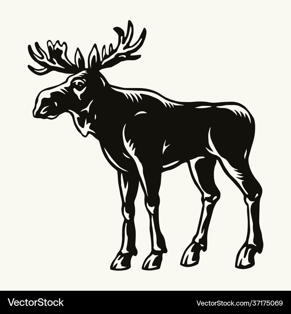 Moose vintage template vector image