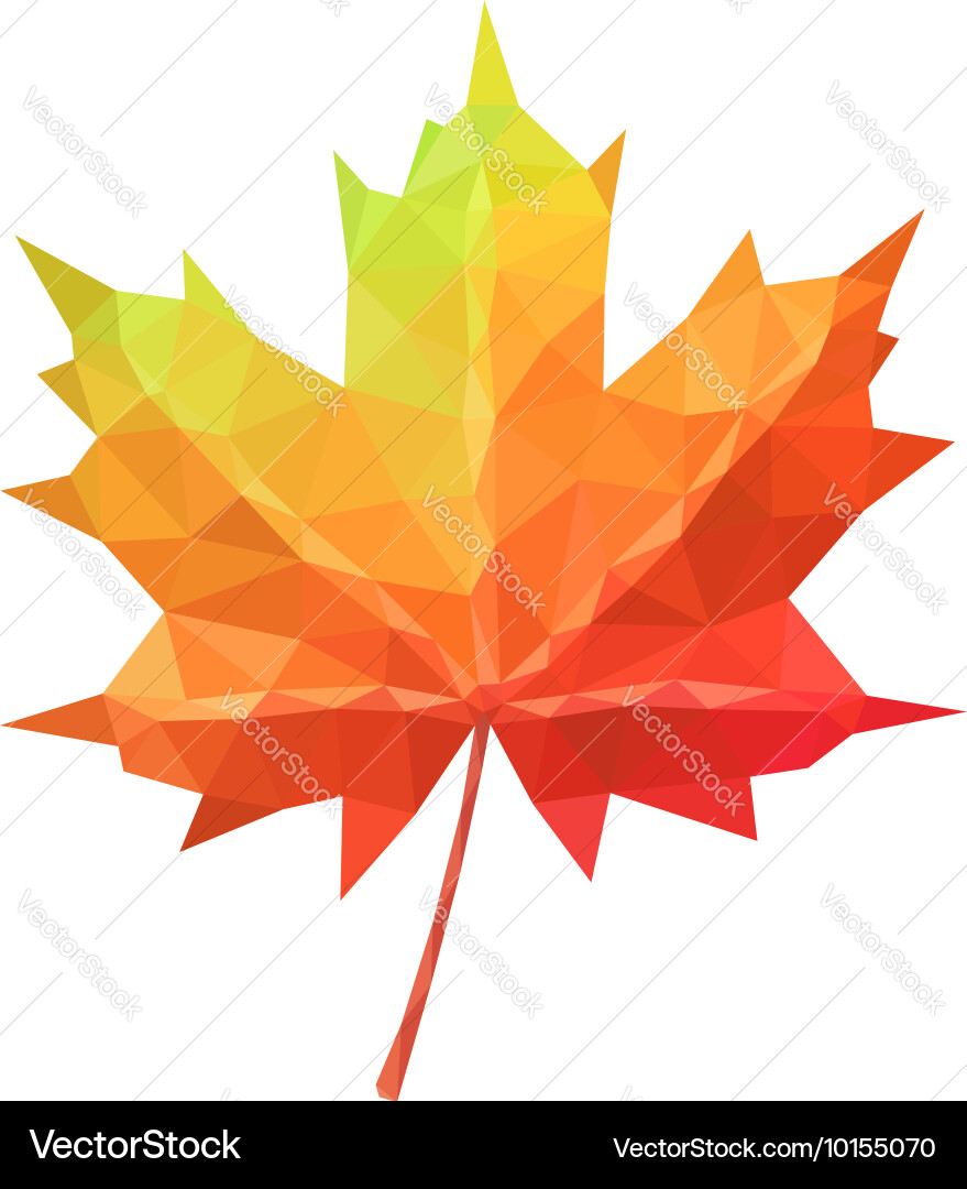 Low Poly Maple Leaf Pattern vector image