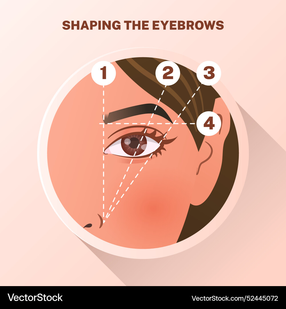 Gradient brow mapping Vector Image