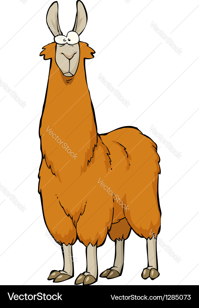 Lama Vector Images (over 7,200)