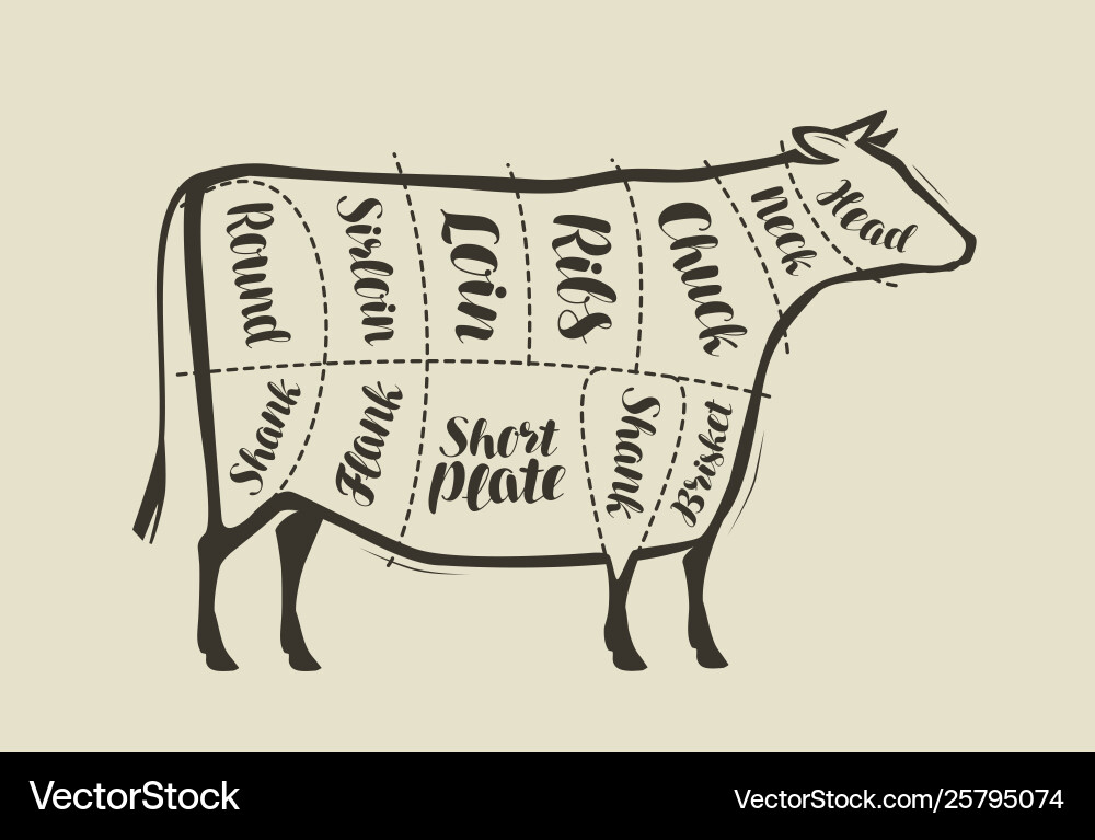 Cut beef meat menu for restaurant or butcher Cut beef meat menu for restaurant or butcher vector image