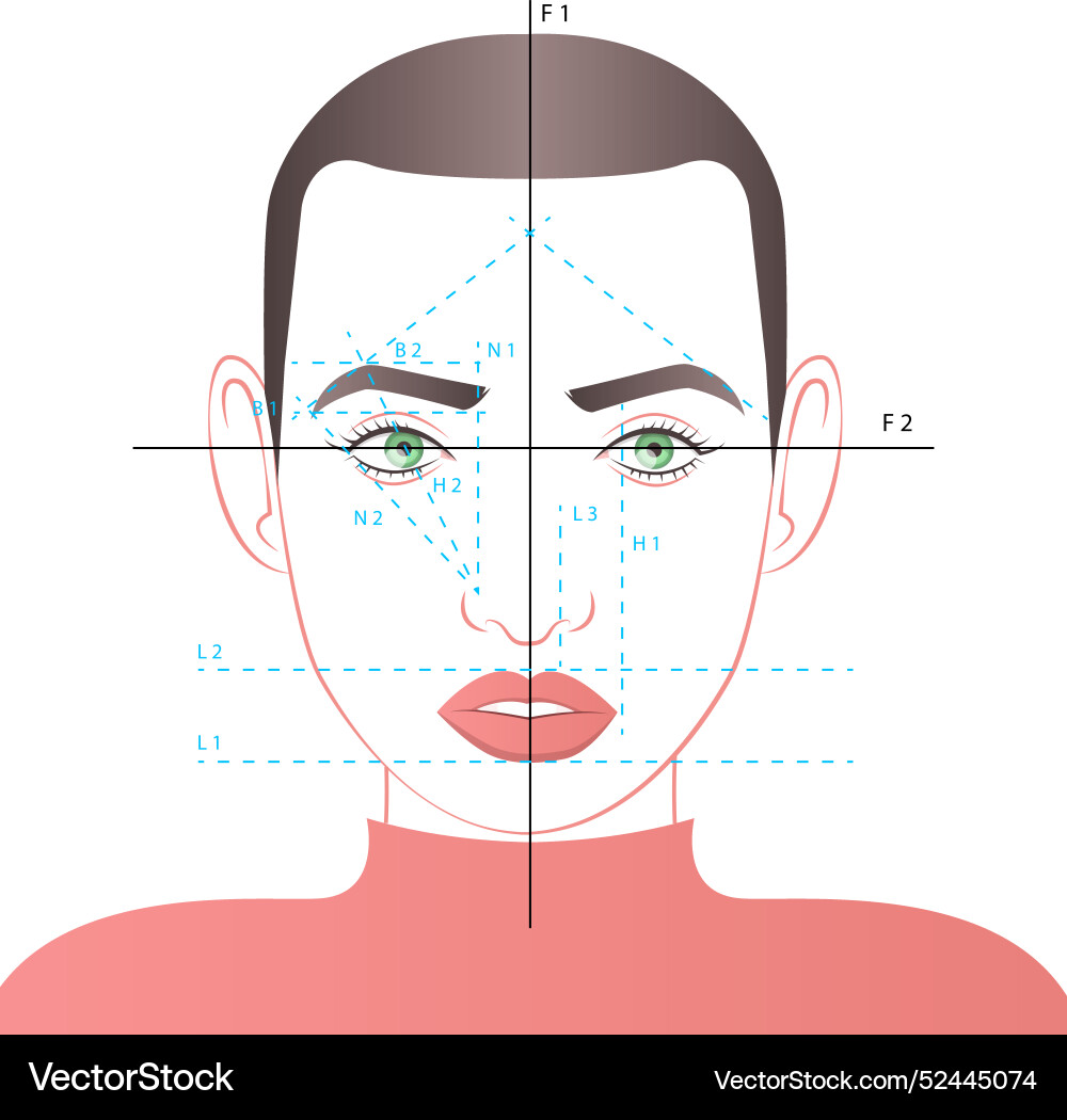 Gradient brow mapping Vector Image