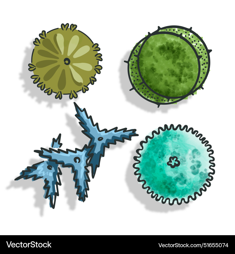 Set trees top view in color pictograms Set trees top view in color pictograms vector image