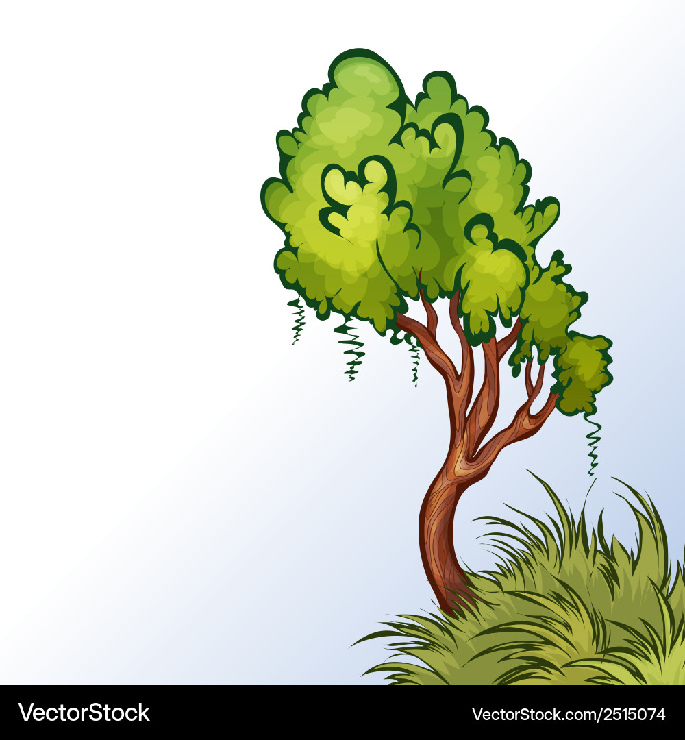 Tree Vector Image