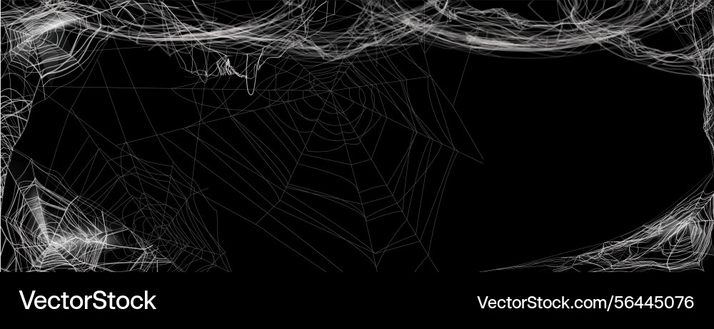Cobweb on dark background tangled thread hanging Cobweb on dark background tangled thread hanging vector image