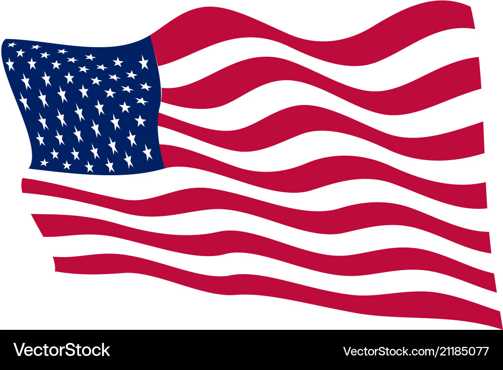 USA Flag on White vector image